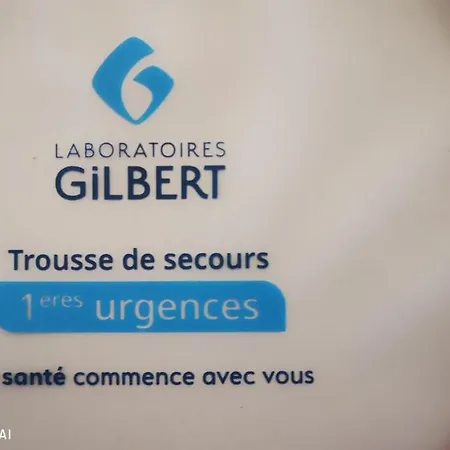 Apartment 24m2 Au 4eme Etage Ascenseur A Cote De La Gare Sncf, Wifi 5g Lourdes